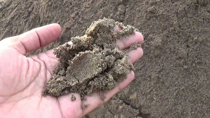 Khối lượng riêng của những loại cát khác nhau có giá trị khác nhau