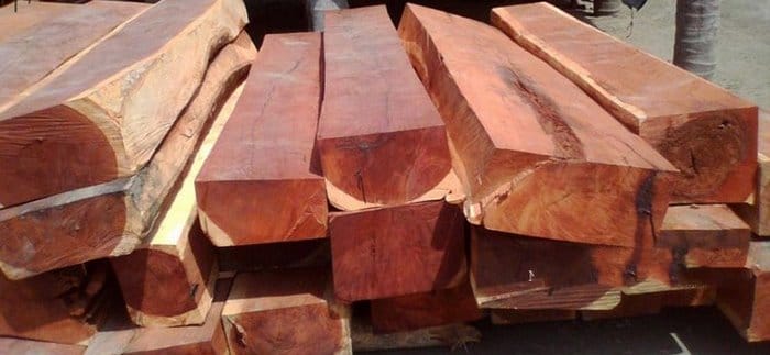 Khối lượng riêng của gỗ sẽ dao động theo loài cây và độ ẩm của gỗ