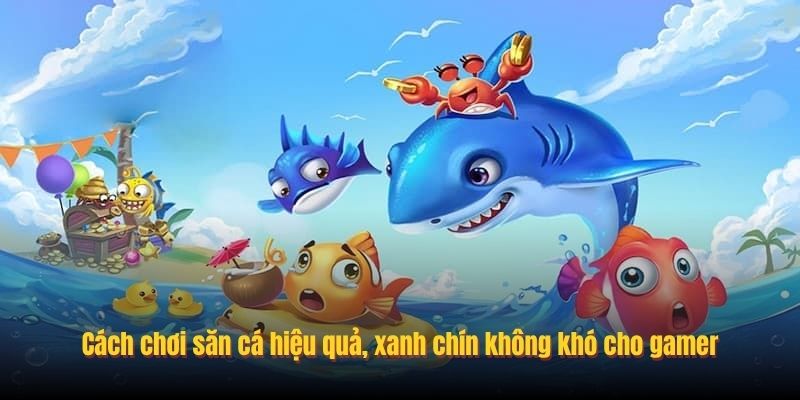 Bí quyết sử dụng tool mang lại hiệu quả cao