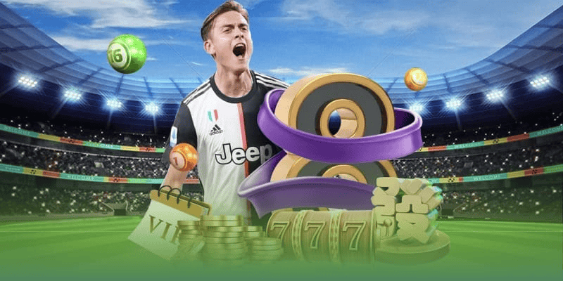 Chỉ dẫn cách theo dõi bóng đá tại nền tảng SOCOLIVE
