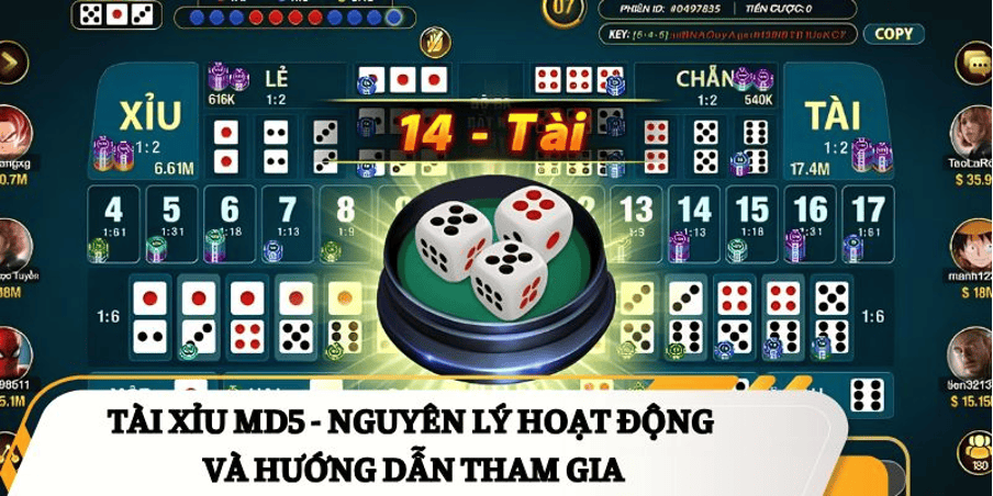 Quy luật hồi tụ xác suất và Cách ứng xử thông minh