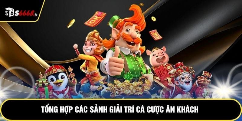 Tổng hợp các sảnh giải trí cá cược ăn khách