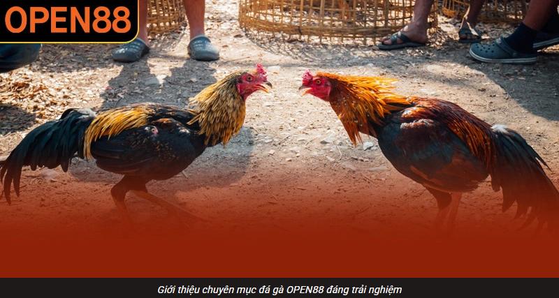 Chất lượng xem trận tạo nên ấn tượng đầu tiên với người chơi