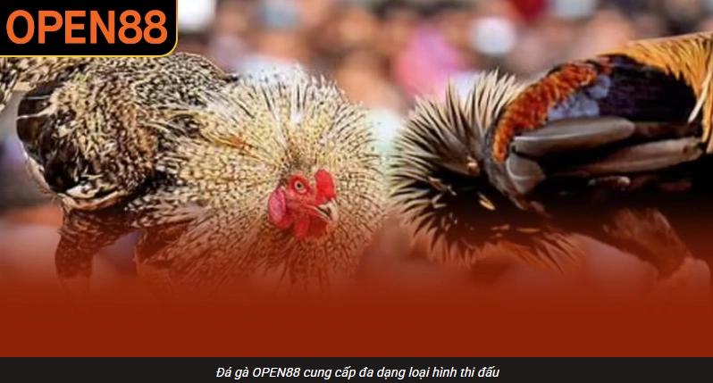 Một nền tảng có nội dung hay nhưng giao diện