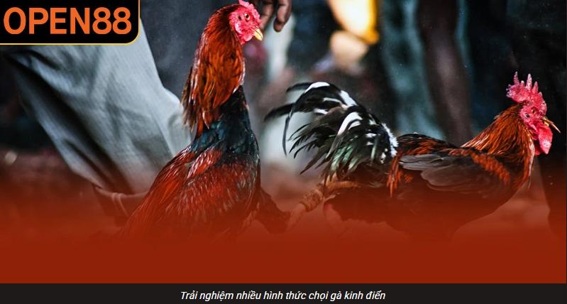 Sức hút lâu dài đến từ cảm giác theo dõi sống động