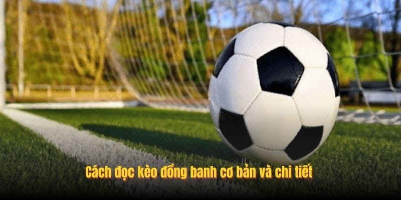 Cách đọc kèo đồng banh cơ bản và chi tiết
