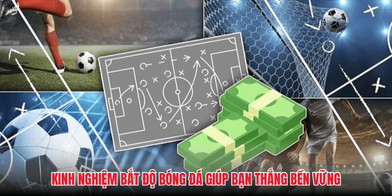 Kinh nghiệm bắt độ bóng đá giúp bạn thắng bền vững