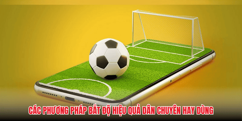 Các phương pháp bắt độ hiệu quả dân chuyên hay dùng