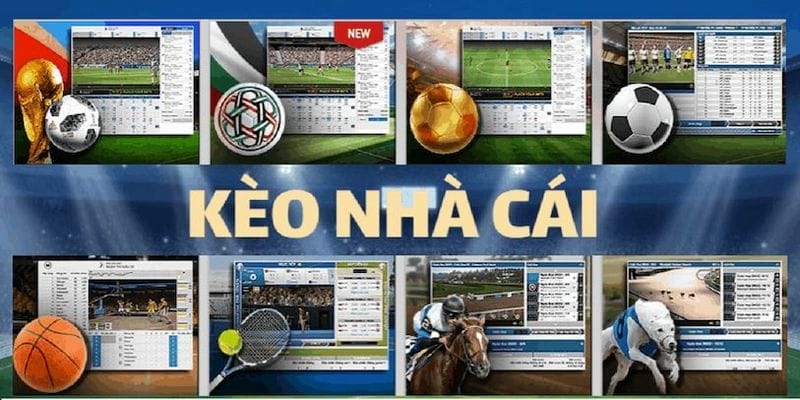 Những danh mục được cung cấp tại kèo nhà cái – đầy đủ thông tin và dễ theo dõi