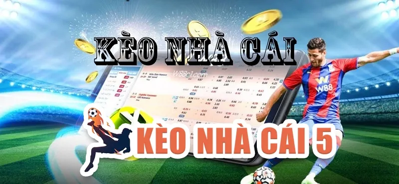 Theo dõi tỷ lệ và dữ liệu – tiếp cận thông tin chủ động