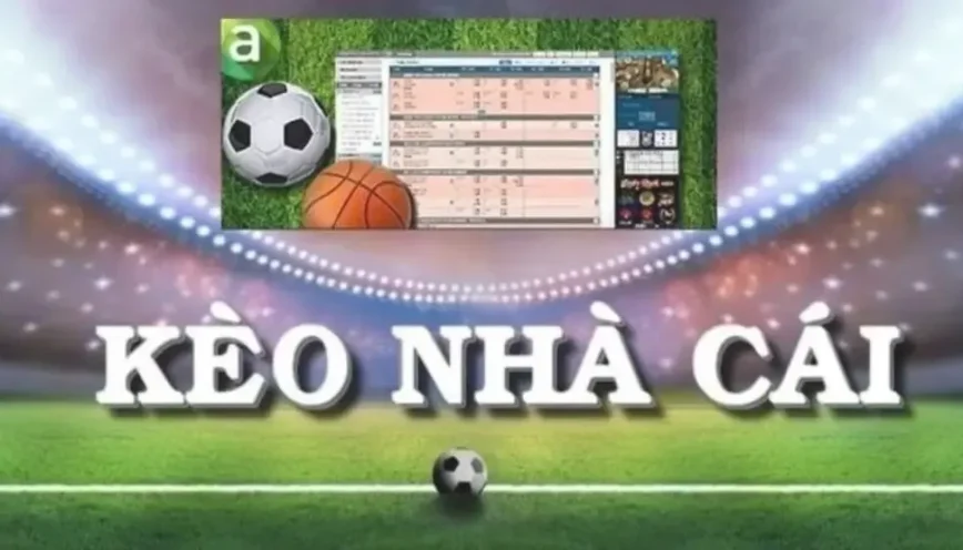 Ưu điểm nổi bật của trang kèo nhà cái – dữ liệu nhanh, giao diện rõ và trải nghiệm ổn định
