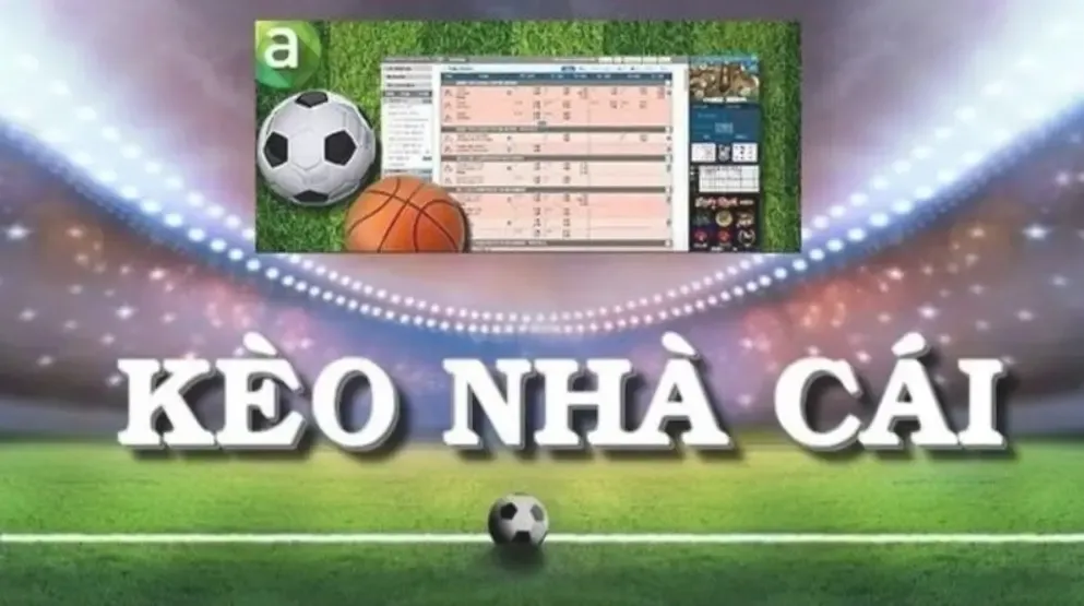 Ưu điểm nổi bật của trang kèo nhà cái – dữ liệu nhanh, giao diện rõ và trải nghiệm ổn định