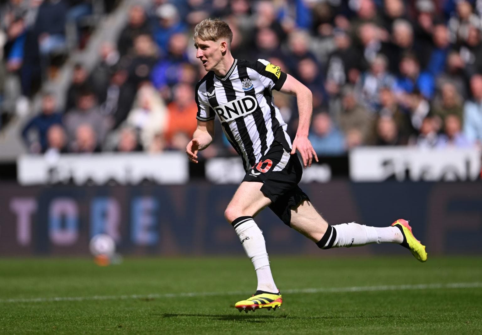 Hành Trình Từ Học Viện Everton Đến Ngôi Sao Premier League