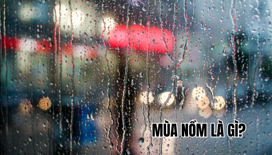 mùa nồm là gì