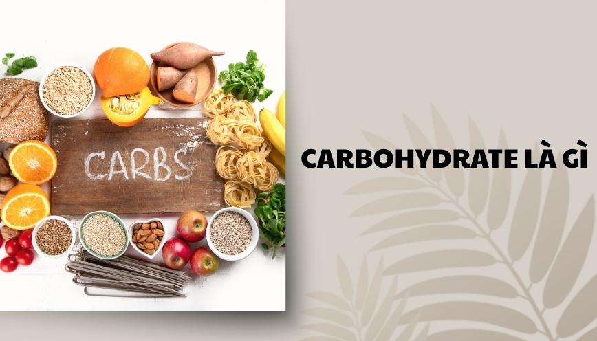 Carbohydrate là gì