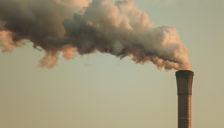 Vai trò quan trọng của CO2 trong tự nhiên