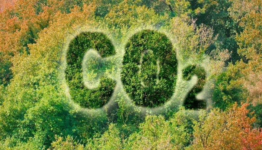 CO2 được ứng dụng trong nhiều lĩnh vực khác nhau