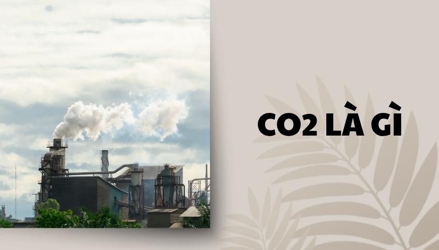 CO2 là gì