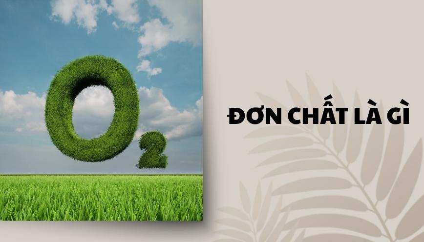 Đơn chất là gì