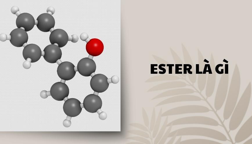 Ester là gì