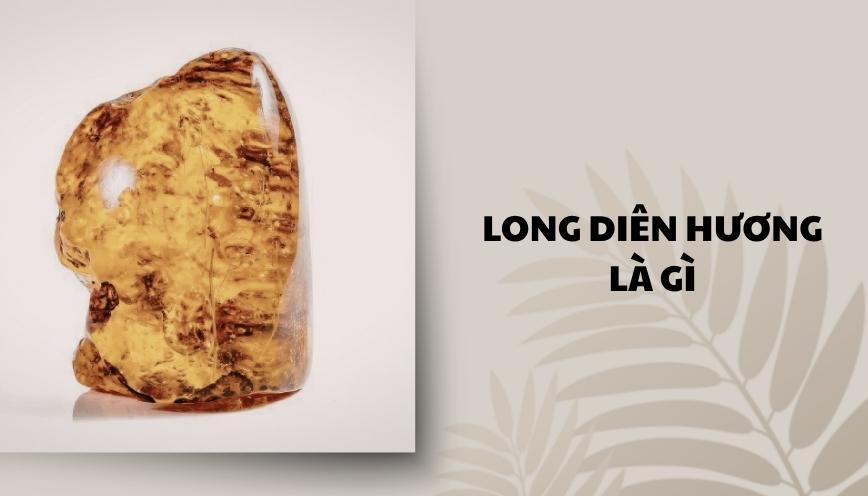 Long diên hương là gì