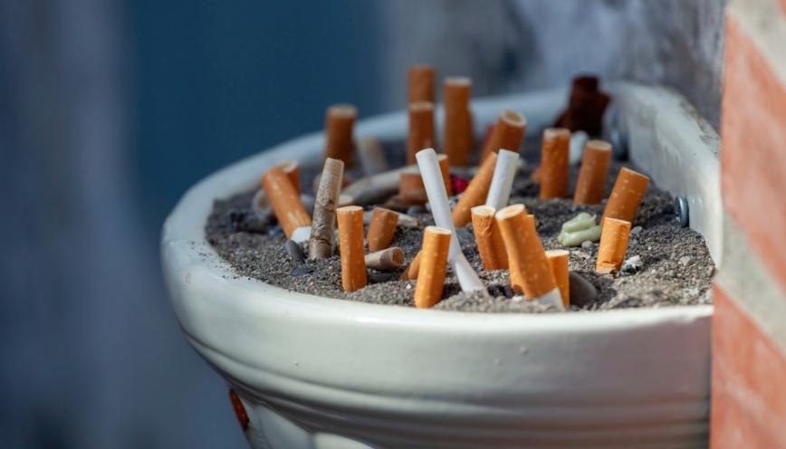 Vì sao nicotine có khả năng gây phụ thuộc và nghiện?