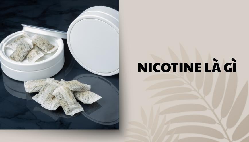 Nicotine là gì