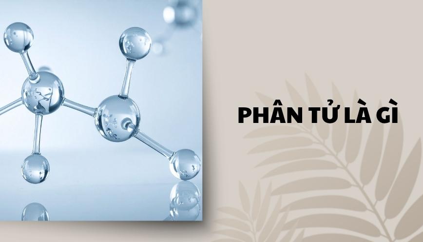 Phân tử là gì