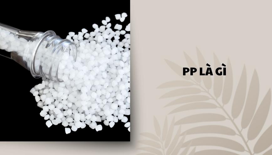 PP là gì