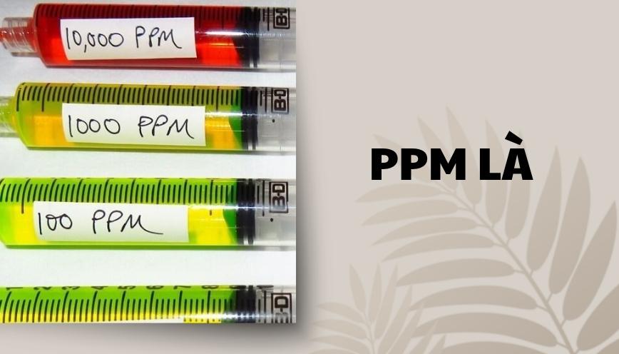 PPM là gì