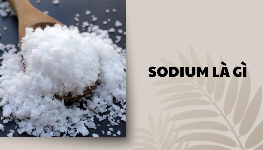 Sodium là gì