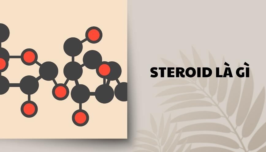 Steroid là gì