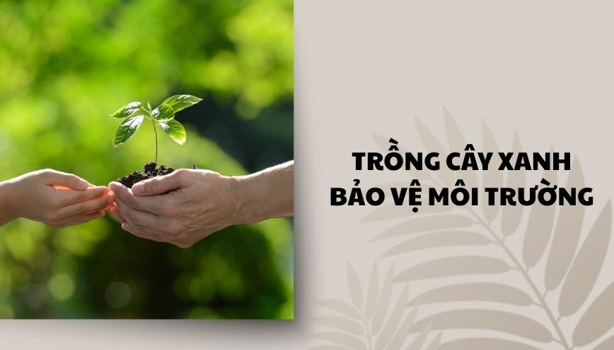 Trồng cây xanh bảo vệ môi trường