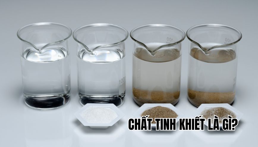 Chất tinh khiết là gì