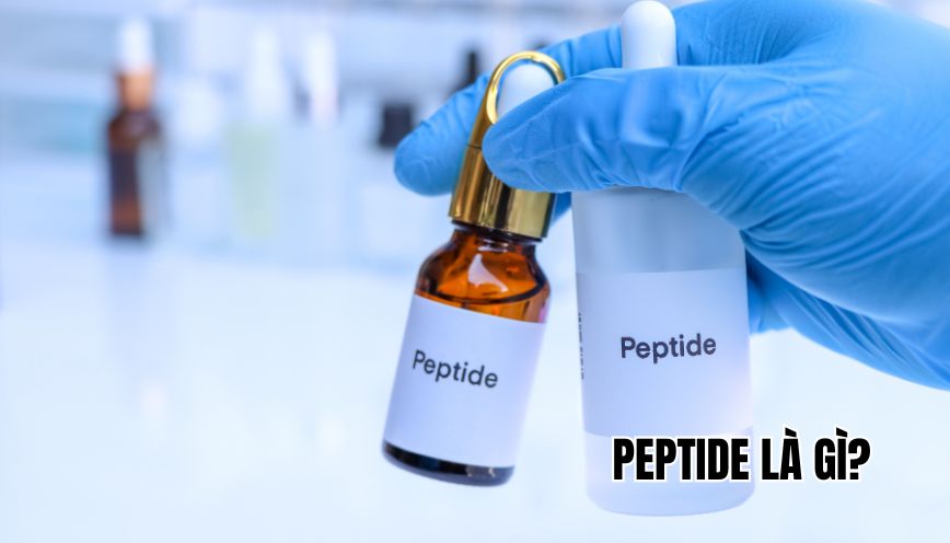 Peptide là gì