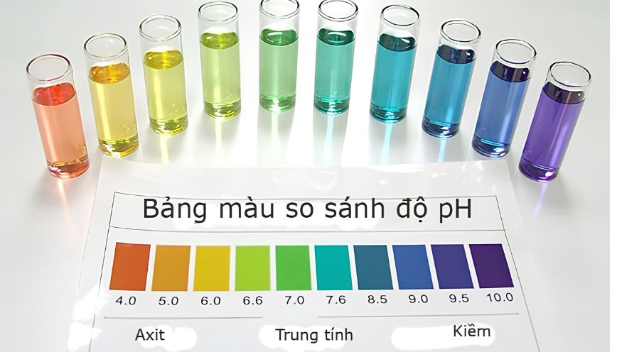 pH là chất gì? Hiểu đúng về chỉ số pH