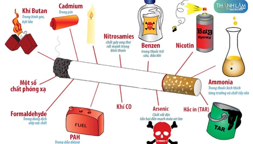 Thuốc lá là gì? Khái niệm và nguồn gốc