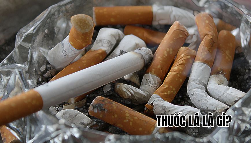 Thuốc lá là gì